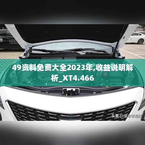 49资料免费大全2023年,收益说明解析_XT4.466