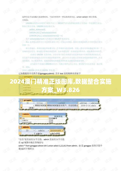 2024澳门精准正版图库,数据整合实施方案_W3.826