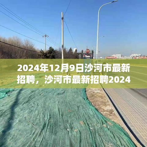 沙河市最新招聘动态，2024年职位火热发布，理想工作等你来选！