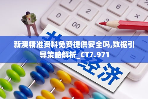 新澳精准资料免费提供安全吗,数据引导策略解析_CT7.971