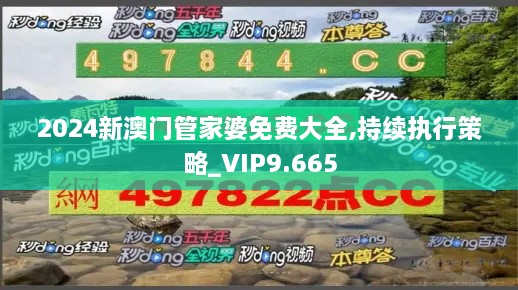 2024新澳门管家婆免费大全,持续执行策略_VIP9.665