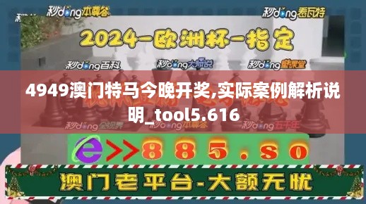 4949澳门特马今晚开奖,实际案例解析说明_tool5.616