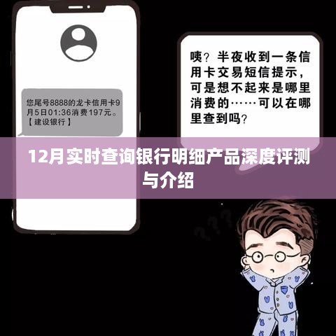 12月银行明细查询产品深度评测与介绍，实时掌握财务动态