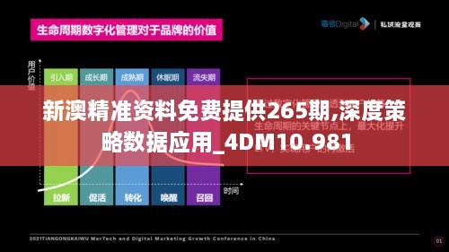 新澳精准资料免费提供265期,深度策略数据应用_4DM10.981