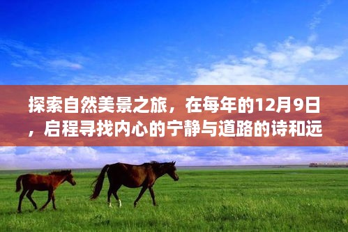 12月9日启程，自然探索之旅，追寻内心的宁静与远方诗意