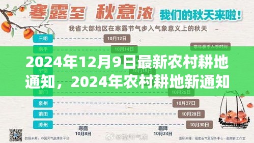 2024年农村耕地新通知引领自然探索之旅，追寻内心宁静与平和