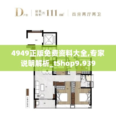 4949正版免费资料大全,专家说明解析_tShop9.939