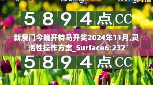 新澳门今晚开特马开奖2024年11月,灵活性操作方案_Surface6.232