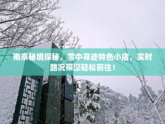 南京雪中探秘特色小店，路况指南助您轻松出行！