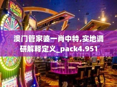 澳门管家婆一肖中特,实地调研解释定义_pack4.951