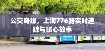 公交奇缘，上海776路的实时追踪与暖心故事