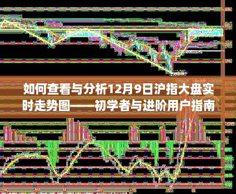 初学者与进阶用户指南，如何查看与分析12月9日沪指大盘实时走势图