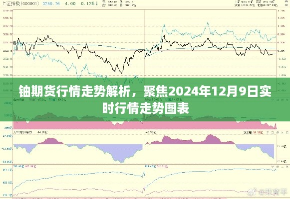 铀期货行情走势解析，实时图表聚焦未来日期（附详细解读）