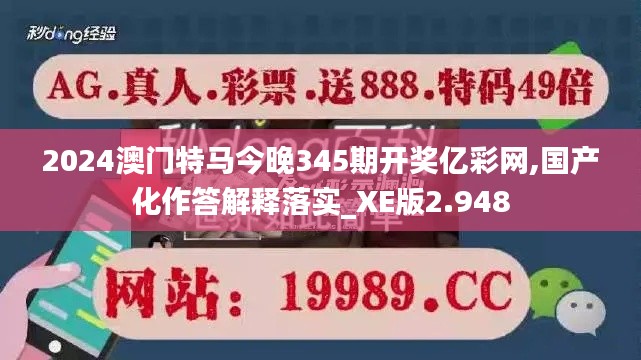 2024年12月10日 第13页