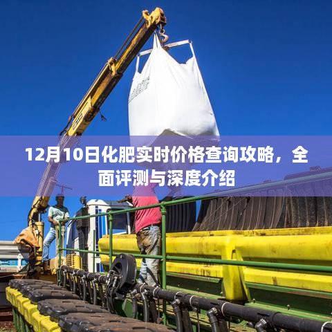 12月10日化肥实时价格查询指南，全面评测与深度介绍