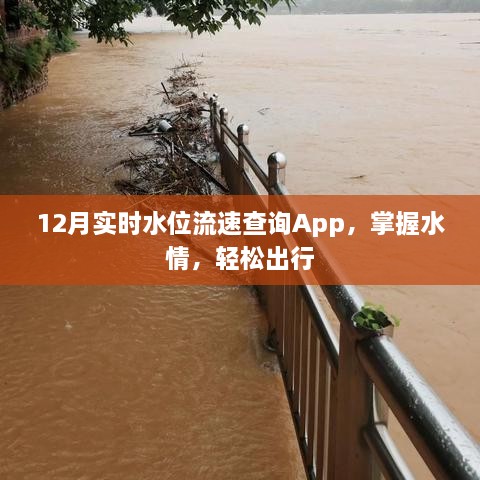 12月实时水位流速查询App，轻松掌握水情，便捷出行必备工具