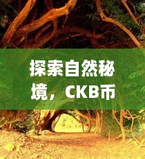 CKB币背后的自然秘境探索，心灵远离尘嚣的宁静之旅