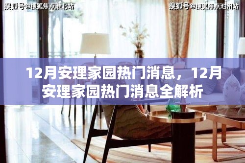 12月安理家园热门消息全解析，一网打尽最新动态