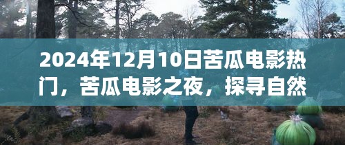 苦瓜电影之夜，探寻自然美景之旅，启程寻找心灵净土的启程日（2024年12月10日）