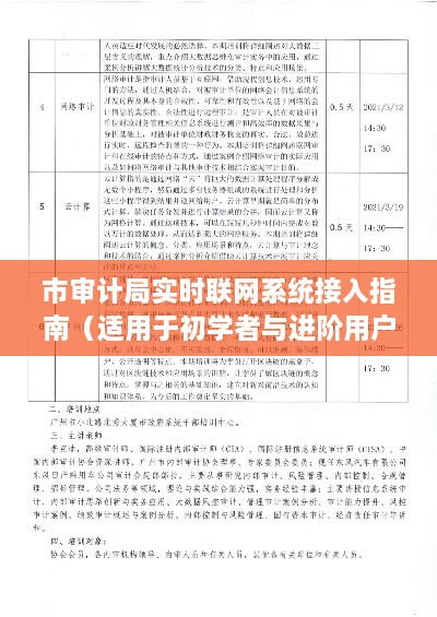 市审计局实时联网系统接入指南，初学者与进阶用户操作指南（XXXX年XX月XX日版）