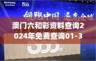 澳门六和彩资料查询2024年免费查询01-32期,资源整合策略实施_战略版3.161