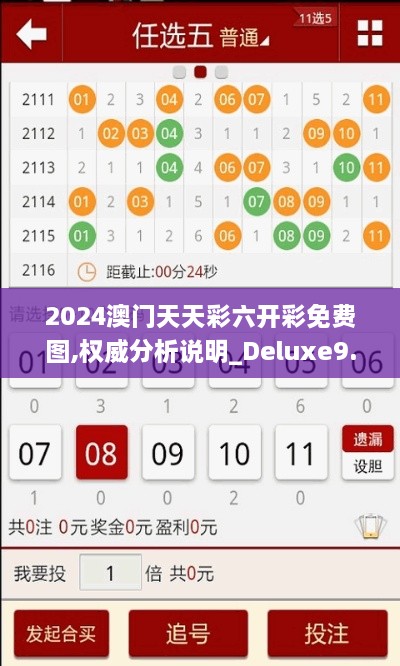 2024澳门天天彩六开彩免费图,权威分析说明_Deluxe9.859