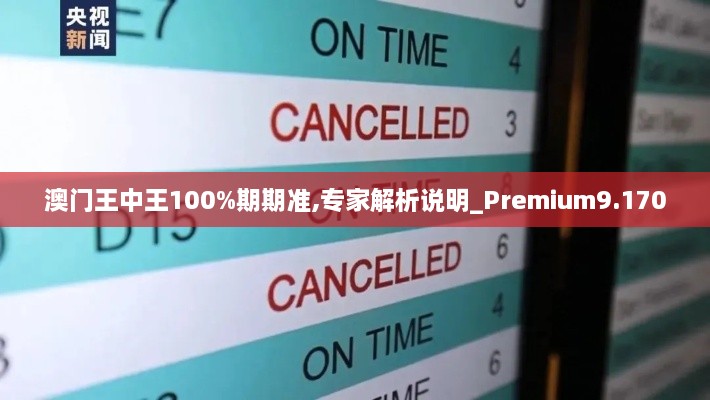 澳门王中王100%期期准,专家解析说明_Premium9.170