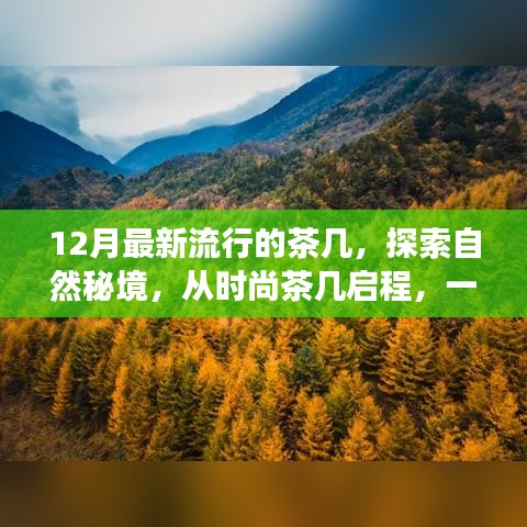 十二月时尚茶几，探索自然秘境，启程内心平静的旅行奇遇