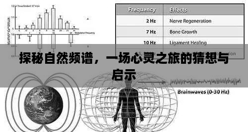 自然频谱探秘，心灵之旅的猜想与启示之旅