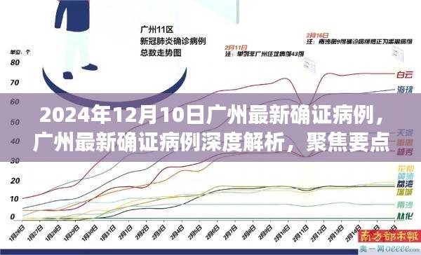 广州最新确诊病例深度解析与科普解读（聚焦要点探讨）（2024年12月10日更新）