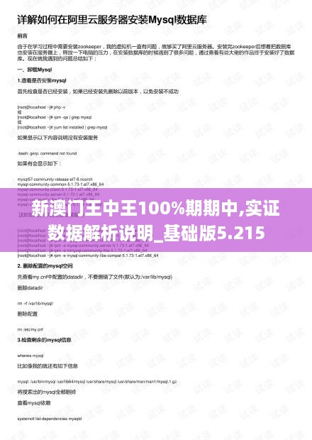 新澳门王中王100%期期中,实证数据解析说明_基础版5.215