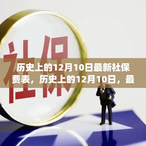 历史上的12月10日社保费表解读与最新费用概览