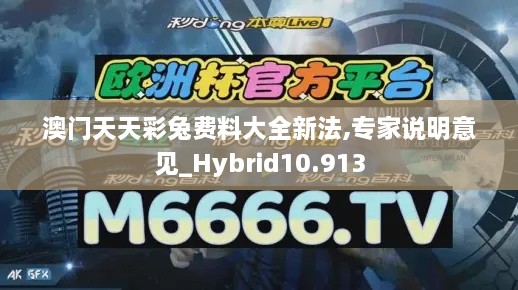 澳门天天彩兔费料大全新法,专家说明意见_Hybrid10.913