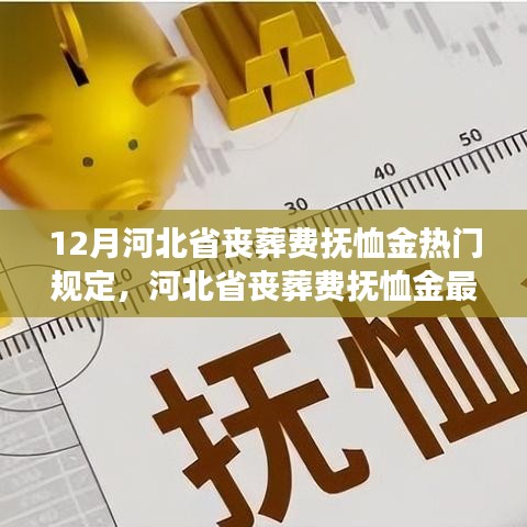 河北省丧葬费抚恤金最新规定解读，十二月新规下的热门规定与解读