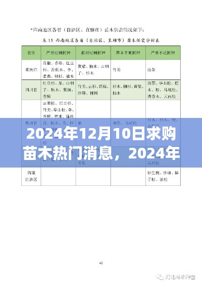 2024年12月10日苗木求购热门消息解析，市场洞察与观点分析