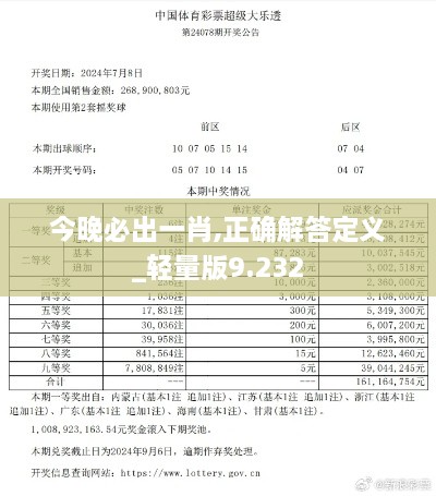 今晚必出一肖,正确解答定义_轻量版9.232