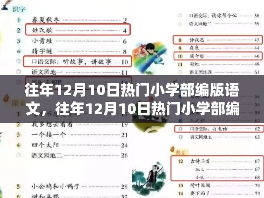 往年12月热门小学部编版语文教材全面解析，特性、体验、竞品对比及用户群体深度探讨