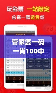 管家婆一码一肖100中奖,专业解析评估_Notebook6.686