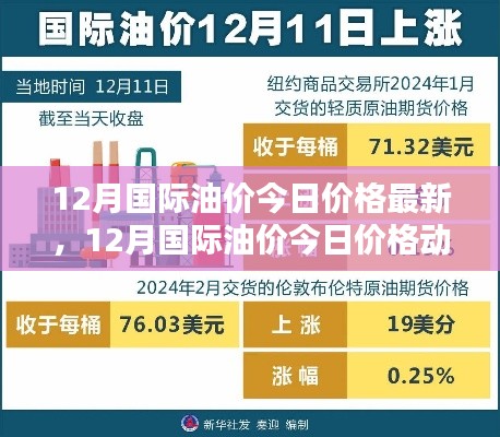 最新动态分析，12月国际油价今日价格走势与预测