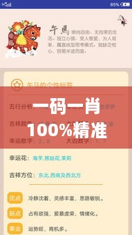 一码一肖100%精准生肖第六,实地分析数据计划_安卓版8.467