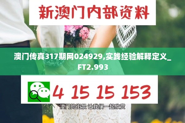 澳门传真317期网024929,实践经验解释定义_FT2.993