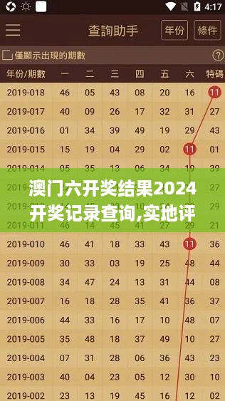 澳门六开奖结果2024开奖记录查询,实地评估说明_FHD版7.440