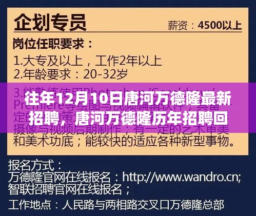 唐河万德隆招聘回顾与展望，探寻人才力量，引领企业未来发展之路