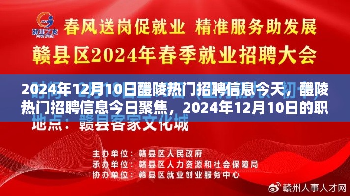 2024年12月10日醴陵热门招聘信息汇总，今日职业机遇探索