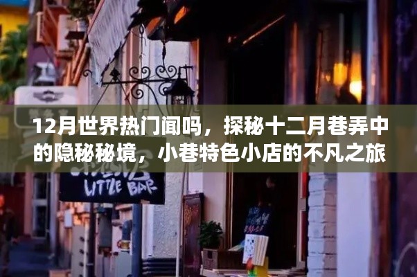 探秘十二月全球巷弄隐秘秘境，特色小店的不凡之旅