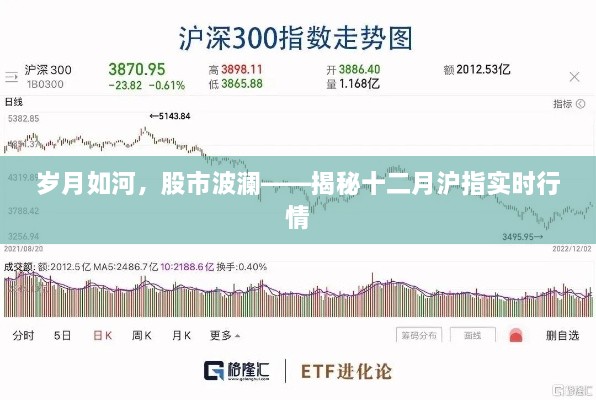 2024年12月 第648页