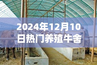 未来牛舍革命，智能养殖牛舍革新体验（2024年）