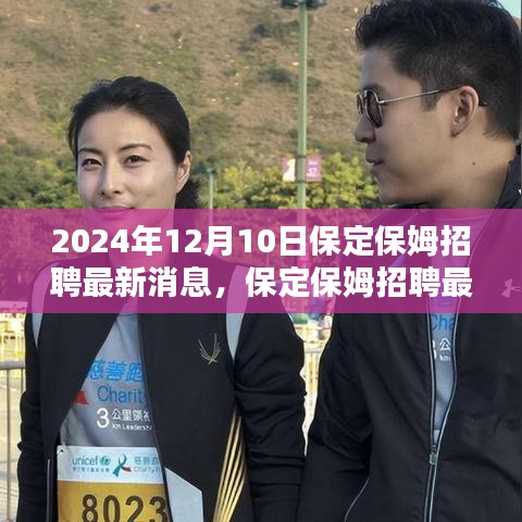 聚焦保定保姆招聘最新动态，2024年12月行业洞察与消息汇总