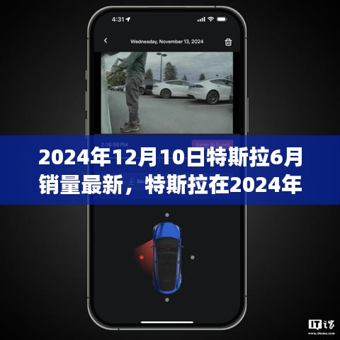 特斯拉深度解析，揭秘2024下半年市场表现与观点碰撞的最新销量数据