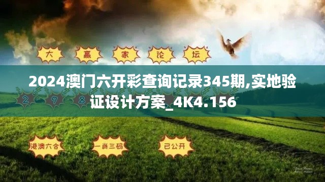 2024澳门六开彩查询记录345期,实地验证设计方案_4K4.156